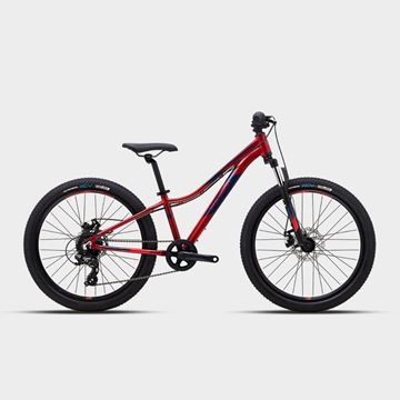 Picture of Polygon Relic 24  Kids Mountain Bike